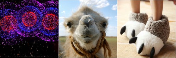 Happy Hump Day - Periwinkle Starr