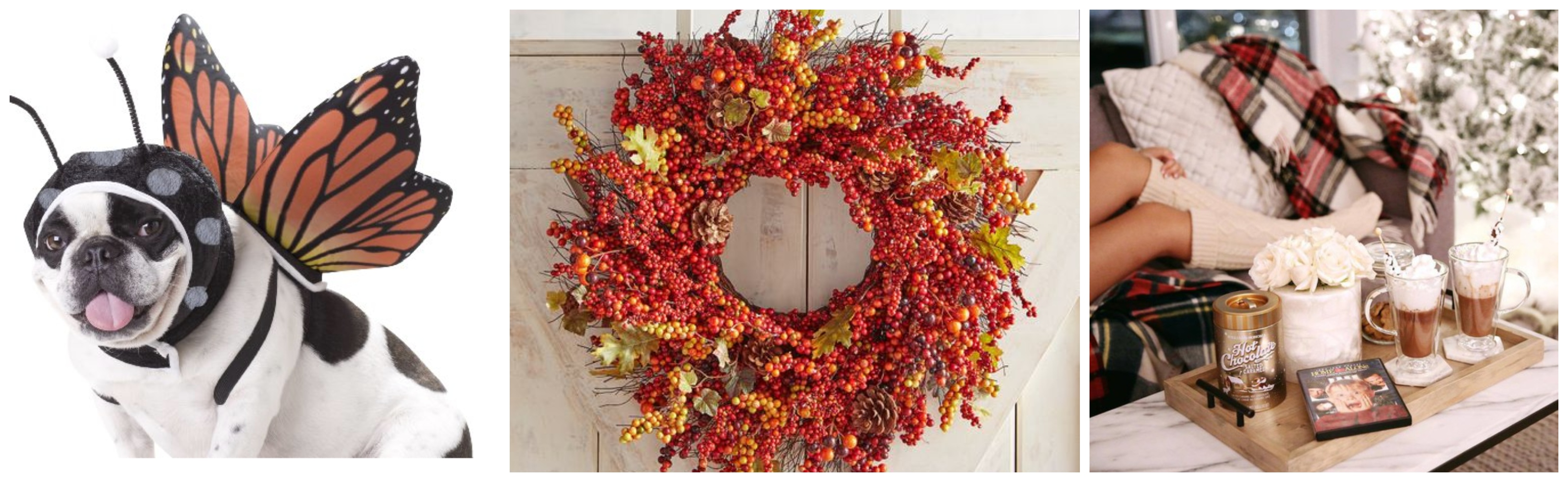 MIHPeriwinkleStarr-collage