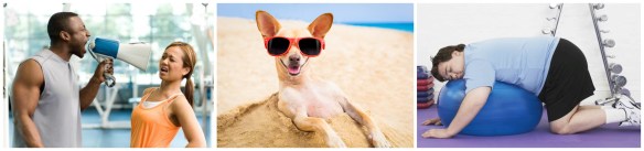 FIFHPERIWINKLESTARRSHcollage