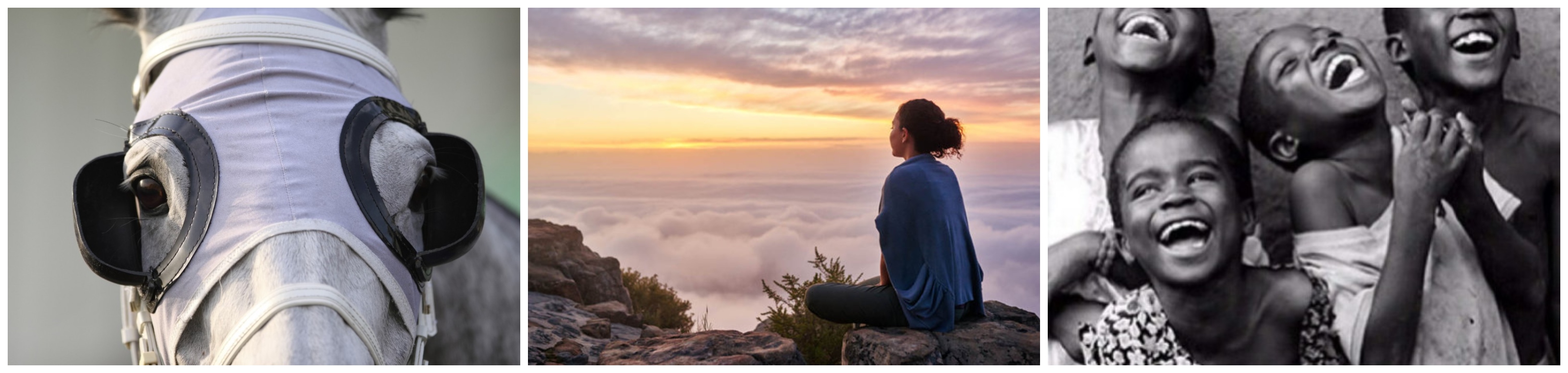 TBOITPERIWINKLESTARRSHcollage (1)