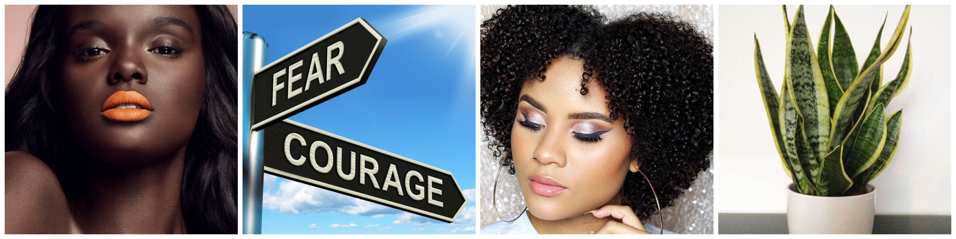 WAWWFPERIWINKLESTARRcollage