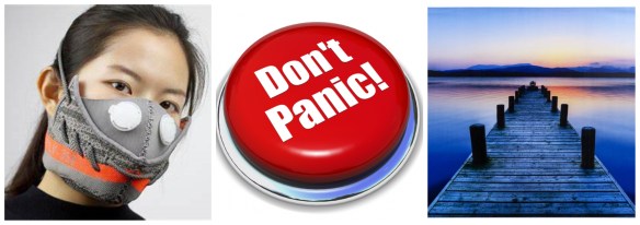 BCKCPERIWINKLESTARRcollage (1)