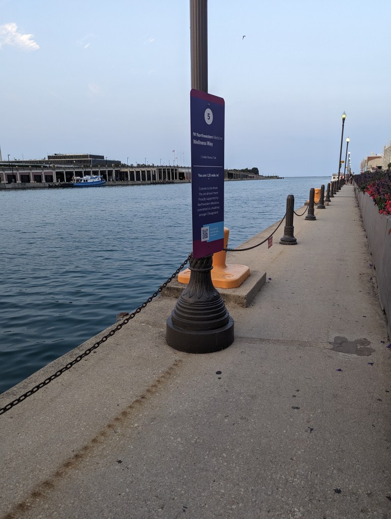 The Navy Pier